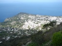Ana Capri the middle town.jpg